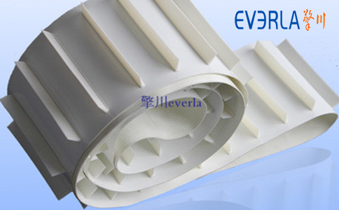 擋板<a href='http://www.hookf.cn/shusongdai/' target='_blank'><u>輸送帶</u></a>的圖片1