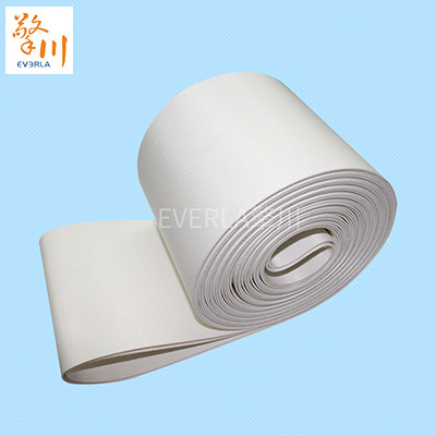 食品<a href='http://www.hookf.cn/shusongdai/' target='_blank'><u>輸送帶</u></a>