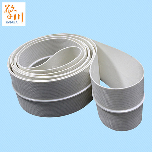 耐油<a href='http://www.hookf.cn/shusongdai/shipin/' target='_blank'><u>食品輸送帶</u></a>