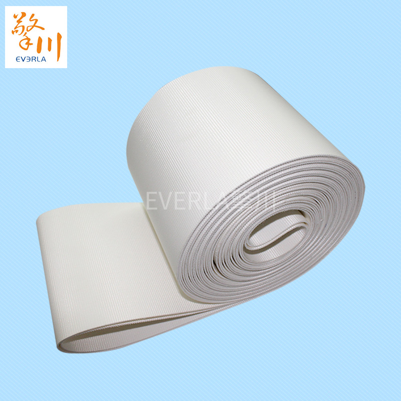 優(yōu)質(zhì)的食品pvc<a href='http://www.hookf.cn/shusongdai/' target='_blank'><u>輸送帶</u></a>主圖