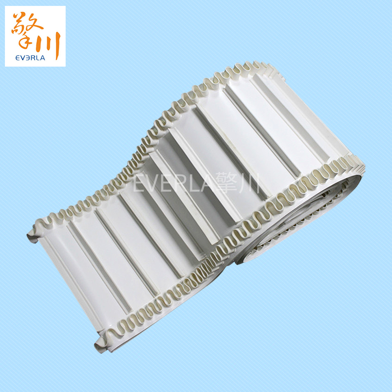 裙邊加擋板PU<a href='http://www.hookf.cn/shusongdai/' target='_blank'><u>輸送帶</u></a>