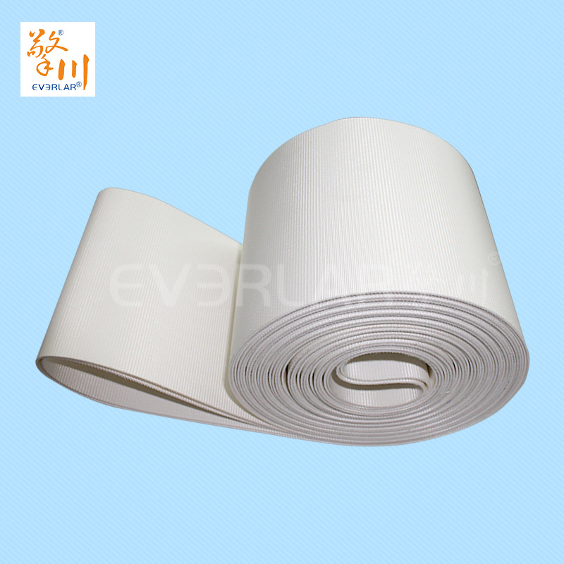 食品皮帶<a href='http://www.hookf.cn/shusongdai/' target='_blank'><u>輸送帶</u></a>