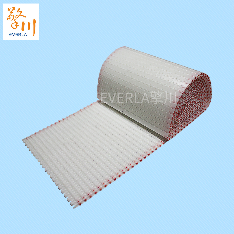 鏈板<a href='http://www.hookf.cn/shusongdai/' target='_blank'><u>輸送帶</u></a>
